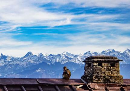 Chandigarh to Kalatop Tour