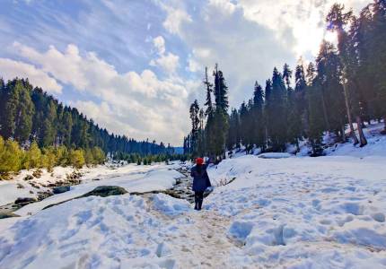 5-Days Gulmarg Srinagar Trip