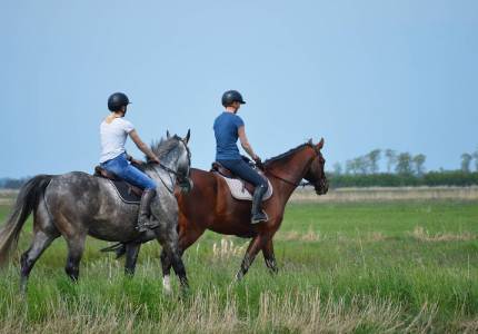 Himachal Grand Tour from Amritsar