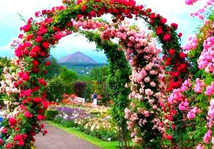 Shimla Manali Hills Drive Tour