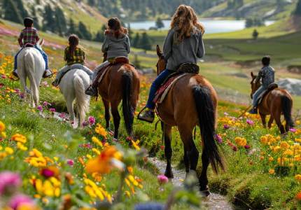 7-Day Complete Kashmir Valley Trip